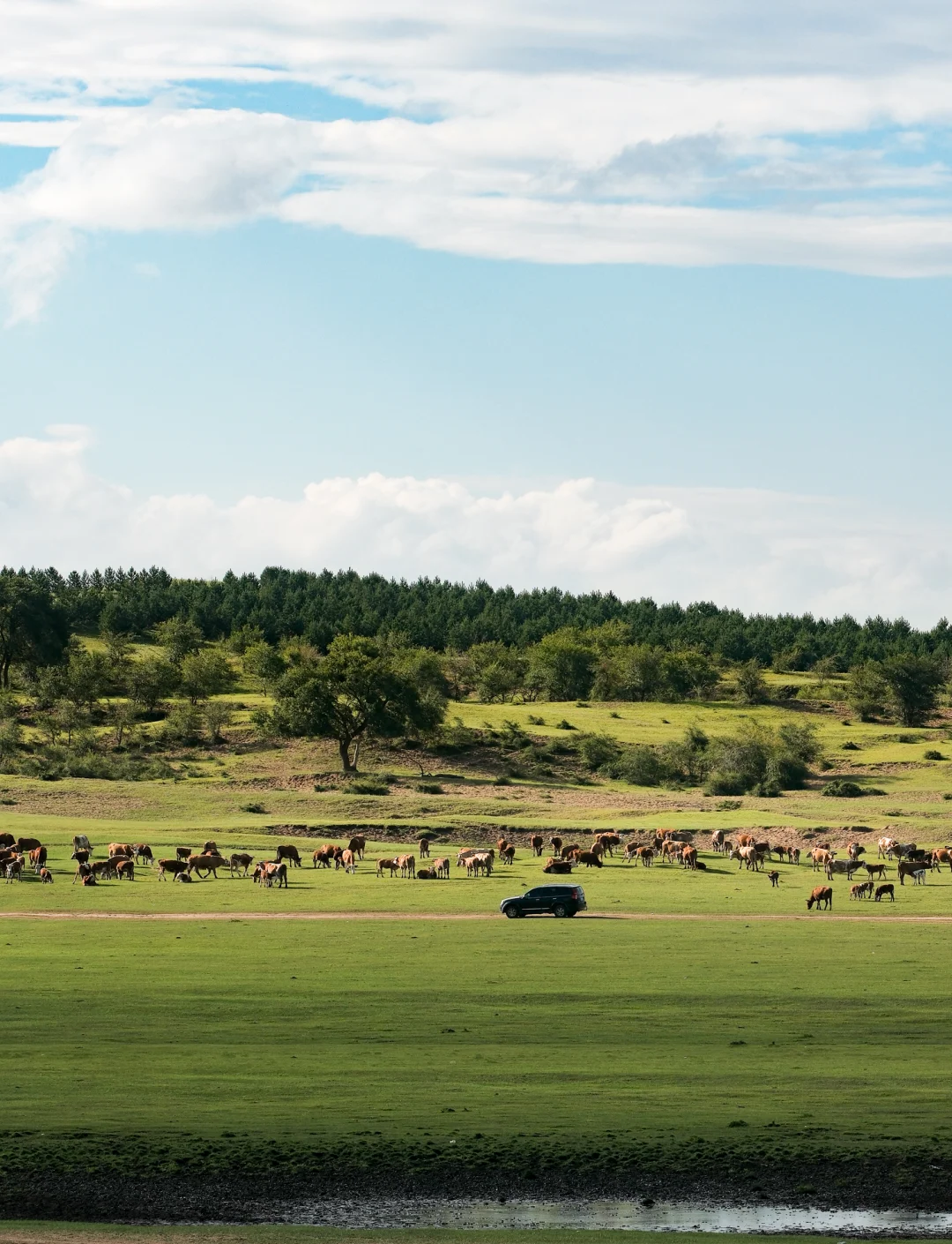 特色草原越野赛,体验纯朴原生态户外运动 特色草原越野赛,体验纯朴原生态户外运动